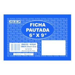 FICHA PAUTADA 6X9 C/ 100Fls. - SÃO DOMINGOS 